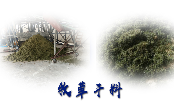 牧草烘干樣品