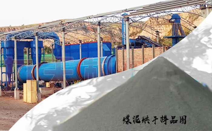 煤泥烘干機(jī)干料樣品展示圖